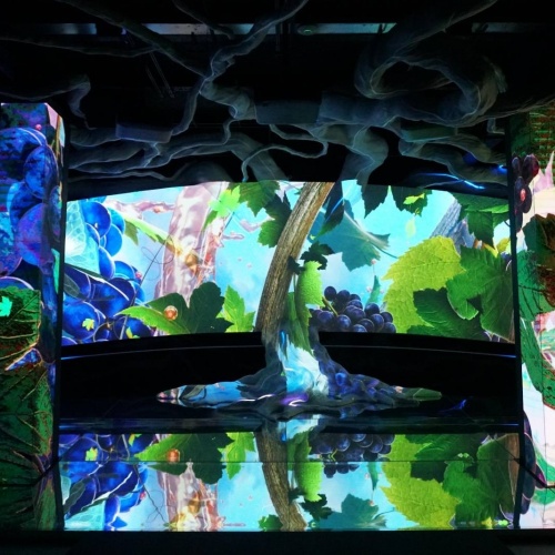 I Am The True Vine show